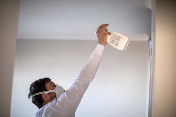 Best Best Mold Removal Companies  in Union, KY